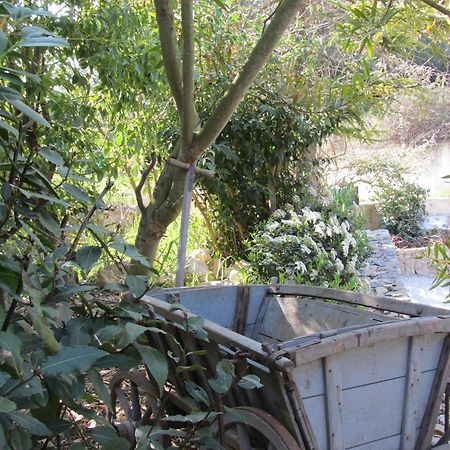 Les Rosees Mougins Exterior photo