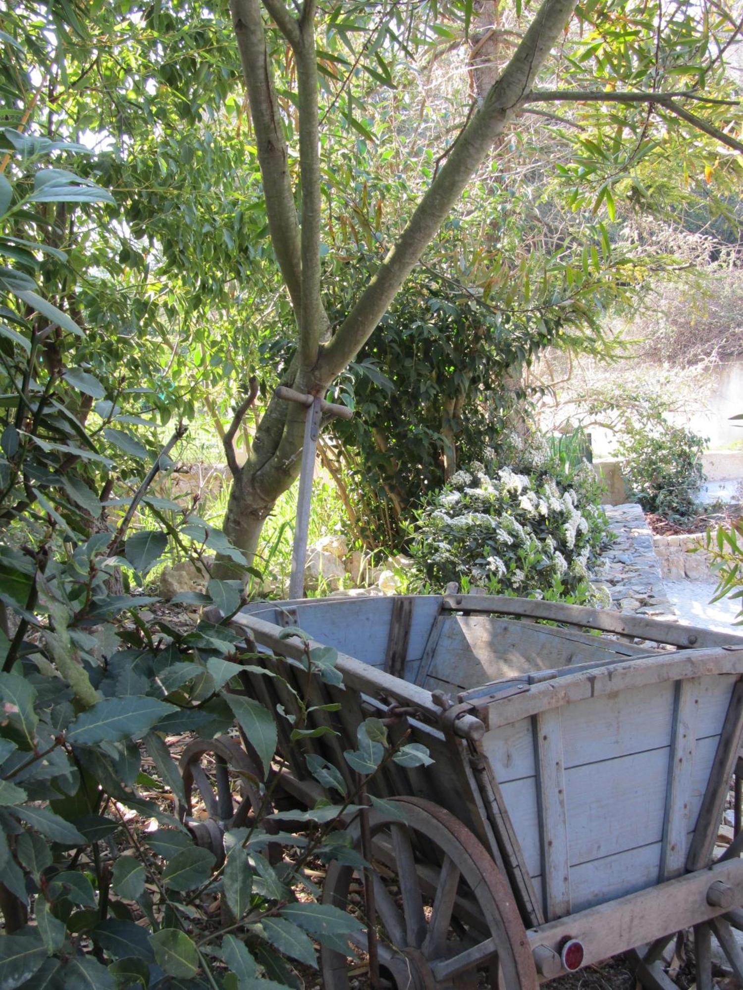 Les Rosees Mougins Exterior photo